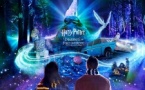 Harry Potter : L’Expérience en Forêt Interdite