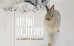 Bruno Liljefors. La Suède Sauvage