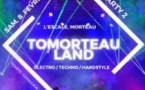 Tomorteauland Party 2