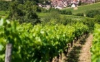 Excursion d'une journée en Bourgogne au départ de Paris