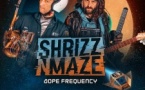 Shrizz n Maze ft Greg Boyer (martian funk)