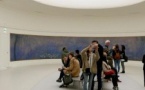 Visite du Musée de l'Orangerie : Visite guidée semi-privée en anglais