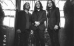 Alex Skolnick Trio