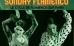 Sunday Flamenco