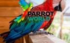 Parrot World : pass annuel billets