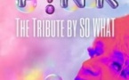 P!nk : The Tribute by So What