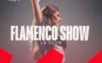 Flamenco Show