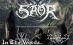 Saor + In The Woods + Imperium Dekadenz + Cân Bardd