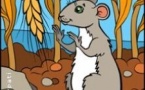 Les Aventures du Rat Patatra