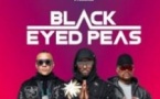 Black Eyed Peas - Chambord Live