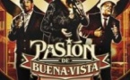 Pasion de Buena Vista - Tournée