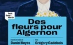 Des Fleurs pour Algernon - Théâtre du Petit Saint-Martin, Paris