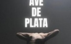 Ave De Plata "L'Oiseau rare" Compagnie Sara Jimenez - Théâtre du Ranelagh, Paris