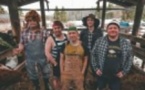 Steve 'n' Seagulls - Tournée