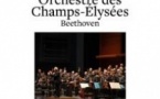 Orchestre Des Champs-Elysées -  Beethoven, Philippe Herreweghe