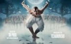 Swan Lake de Matthew Bourne - La Seine Musicale, Boulogne-Billancourt