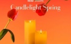 Candlelight Spring: Een tribute aan Queen