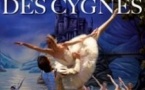 Le Lac des Cygnes - Internation Classical Ballet of Ukraine - Tournée