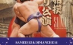 Tournoi de Paris de Sumo