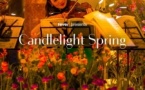 Candlelight Spring: Hommage à Jean-Jacques Goldman