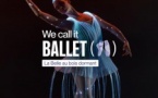 We call it Ballet : la Belle au bois dormant, danse et spectacle de lumière