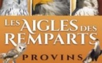 Les Aigles des Remparts - Fauconnerie Equestre