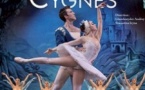 Le Lac des Cygnes - International Classical Ballet of Ukraine