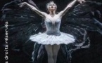 MANON "ROYAL OPERA HOUSE" LE ROYAL BALLET