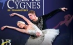 Le Lac des Cygnes - The Ukrainian Ballet of Odessa - Tournée