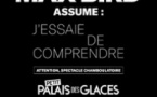 Max Bird Dans J'essaie de Comprendre - Palais des Glaces, Paris