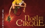 Noël au Cirque