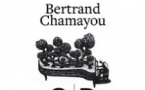 Bertrand Chamayou