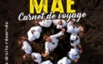 Christophe Maé - Carnet de Voyage - Tournée