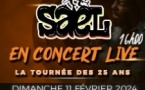 Sael La tournée des 25 Ans de Carrière