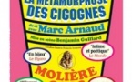 La Métamorphose des Cigognes - La Pépinière Théâtre, Paris