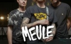 Meule + Mad Foxes