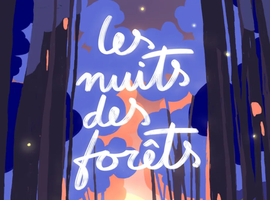 Les Nuits des Forêts est un festival est de retour partout en France jusqu'au 16 juin 2024 © Les Nuits des Forêts