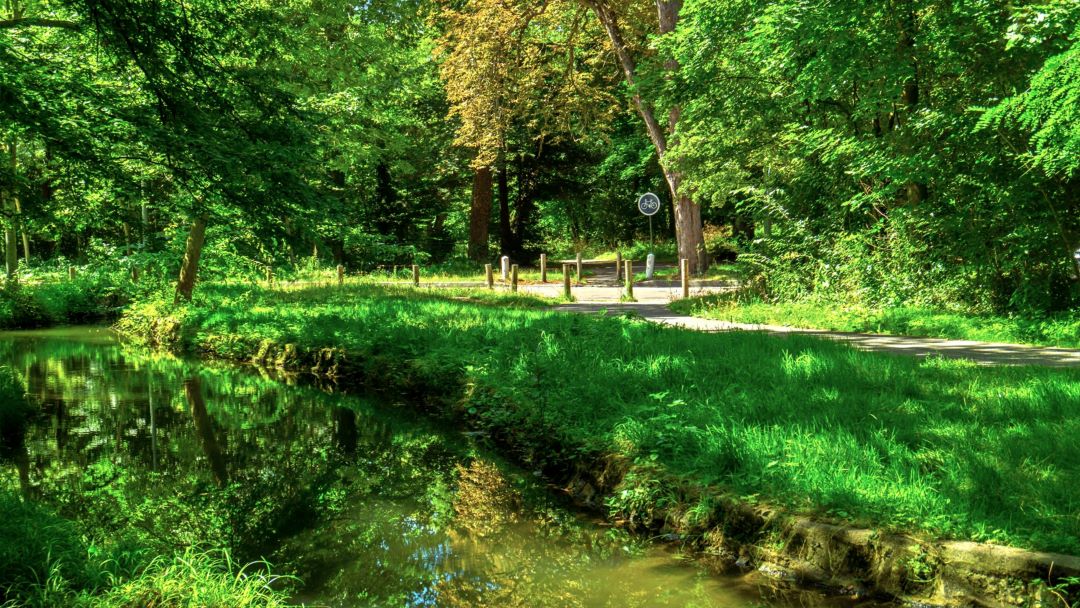 En raison des JO, la fête des Tuileries déménage au bois de Boulogne © Dreamland Scape