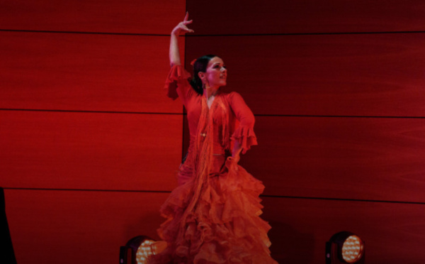 Spectacle We Call It Flamenco : Un Voyage au Cœur de la Culture Espagnole